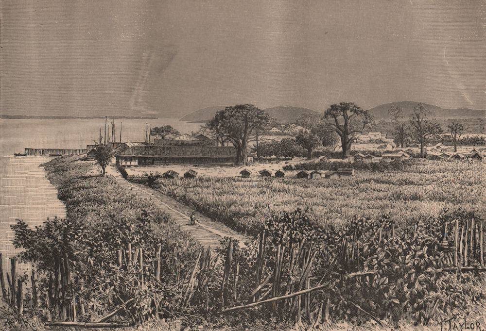 General view of Boma. Congo. Congo Basin 1885 old antique print picture